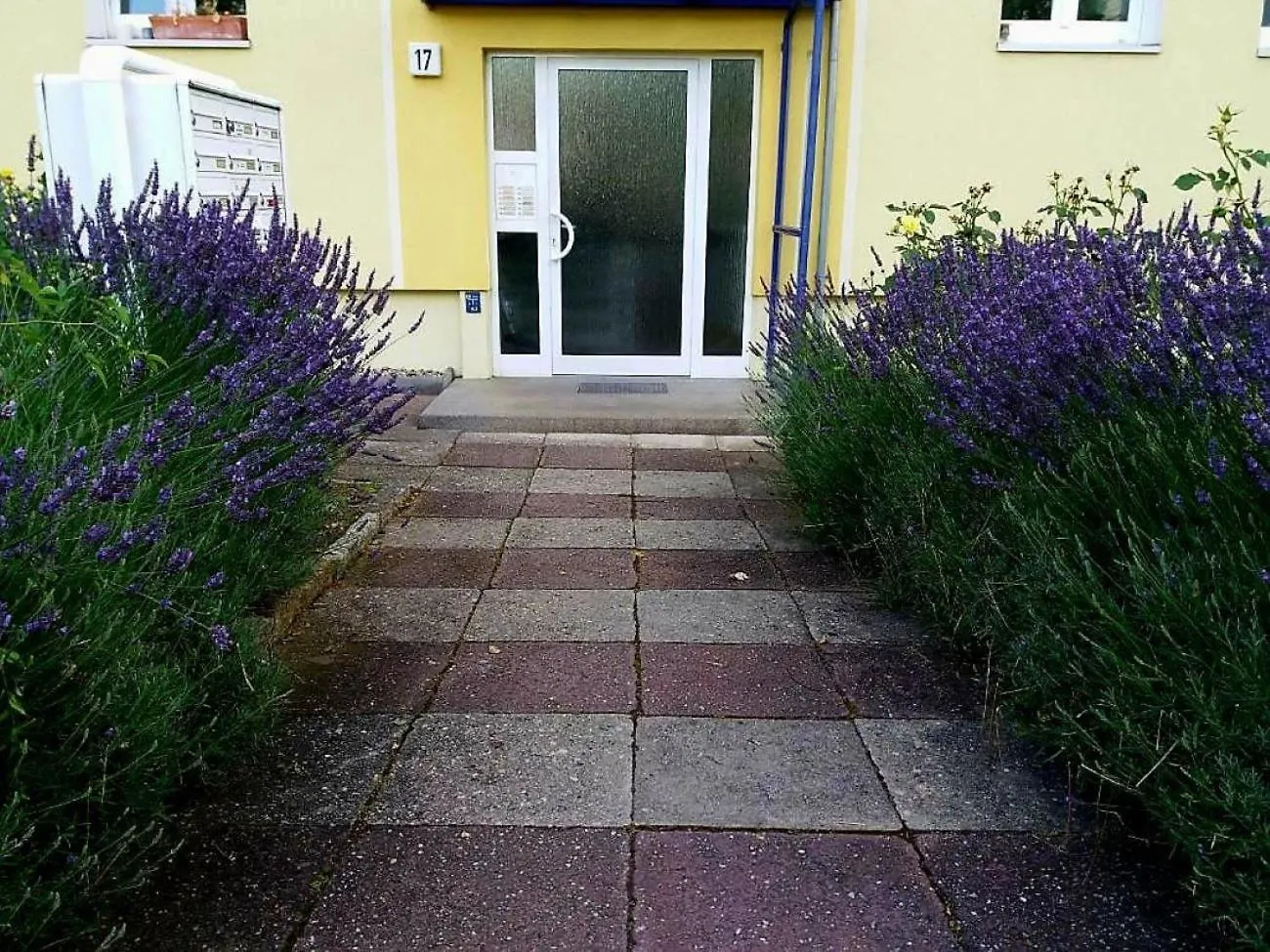 Helles Apartment Mit Balkon Am Grossen Garten Nahe Stadtzentrum Dresden 0*,  Germany